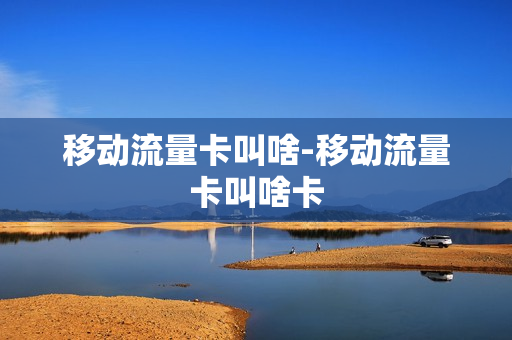 移动流量卡叫啥-移动流量卡叫啥卡