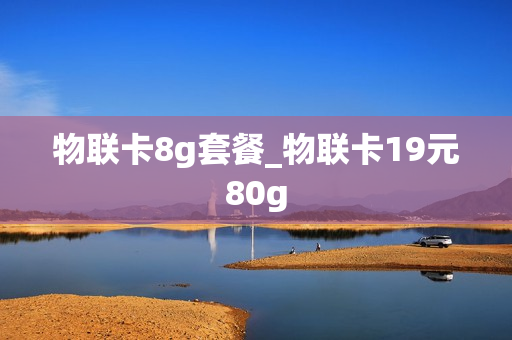 物联卡8g套餐_物联卡19元80g