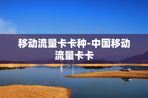 移动流量卡卡种-中国移动流量卡卡