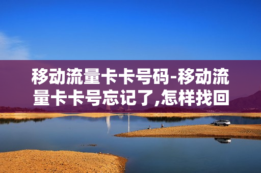 移动流量卡卡号码-移动流量卡卡号忘记了,怎样找回