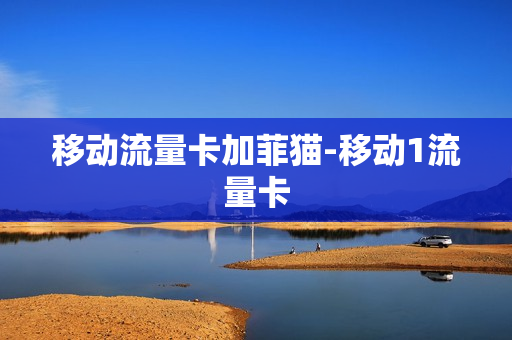 移动流量卡加菲猫-移动1流量卡