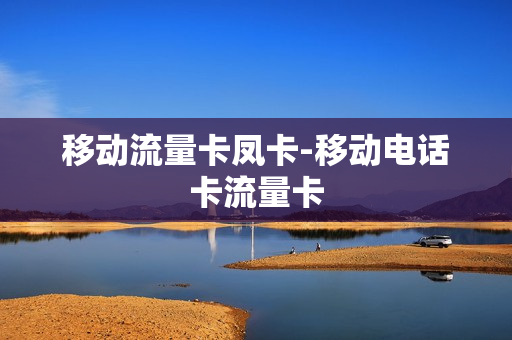 移动流量卡凤卡-移动电话卡流量卡