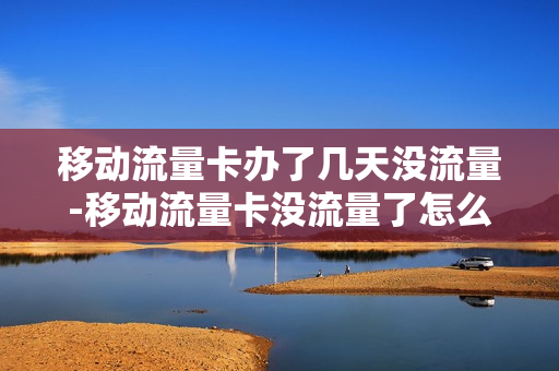 移动流量卡办了几天没流量-移动流量卡没流量了怎么办