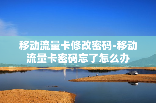 移动流量卡修改密码-移动流量卡密码忘了怎么办
