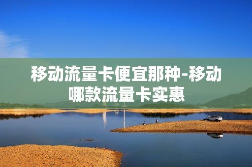 移动流量卡便宜那种-移动哪款流量卡实惠