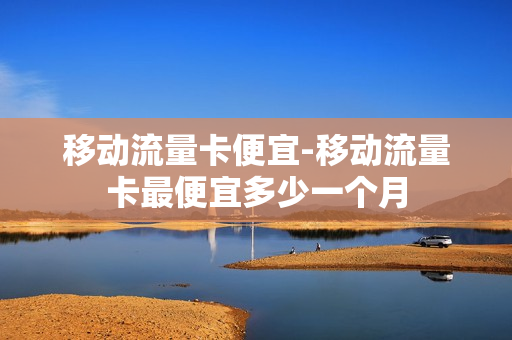 移动流量卡便宜-移动流量卡最便宜多少一个月
