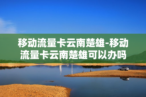 移动流量卡云南楚雄-移动流量卡云南楚雄可以办吗