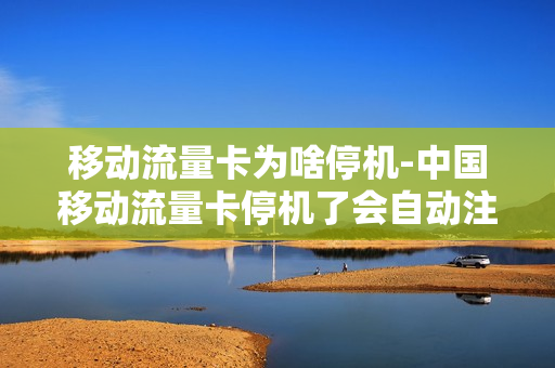 移动流量卡为啥停机-中国移动流量卡停机了会自动注销吗