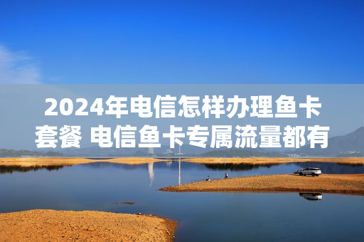 2024年电信怎样办理鱼卡套餐 电信鱼卡专属流量都有哪些