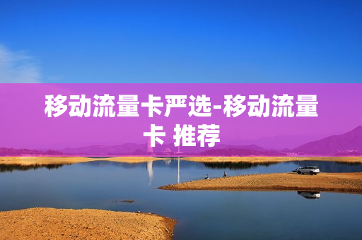 移动流量卡严选-移动流量卡 推荐