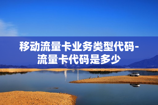 移动流量卡业务类型代码-流量卡代码是多少
