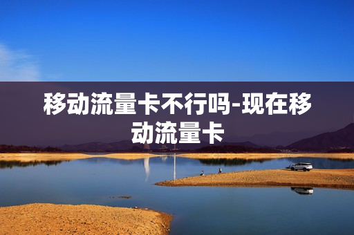 移动流量卡不行吗-现在移动流量卡