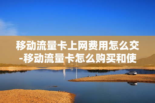 移动流量卡上网费用怎么交-移动流量卡怎么购买和使用