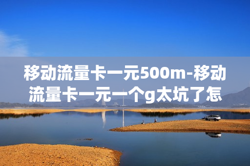 移动流量卡一元500m-移动流量卡一元一个g太坑了怎么办