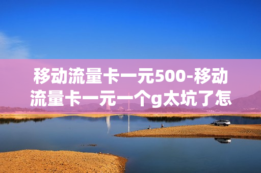 移动流量卡一元500-移动流量卡一元一个g太坑了怎么办