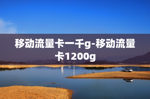 移动流量卡一千g-移动流量卡1200g