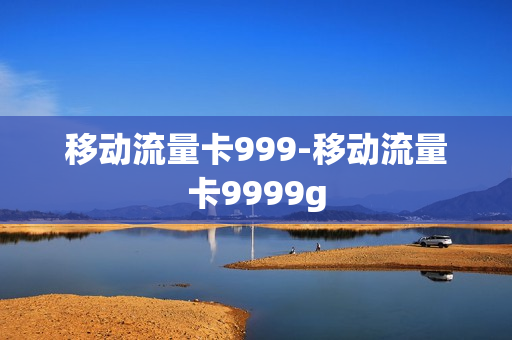 移动流量卡999-移动流量卡9999g