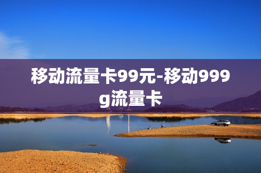 移动流量卡99元-移动999g流量卡