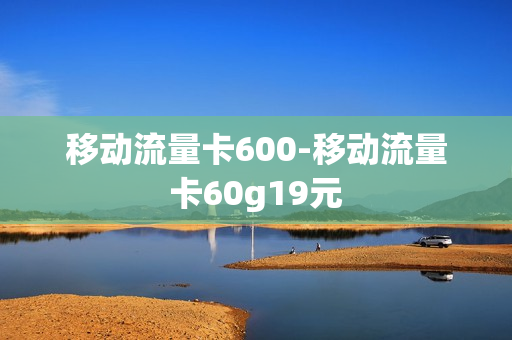 移动流量卡600-移动流量卡60g19元