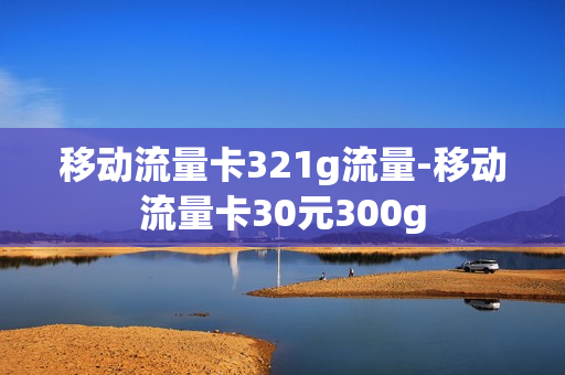 移动流量卡321g流量-移动流量卡30元300g
