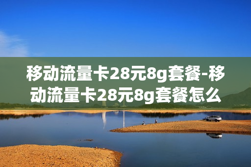 移动流量卡28元8g套餐-移动流量卡28元8g套餐怎么样