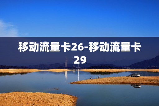 移动流量卡26-移动流量卡29
