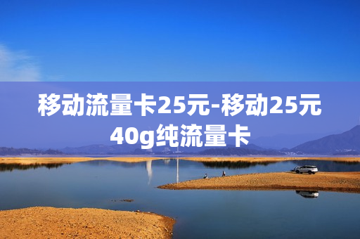 移动流量卡25元-移动25元40g纯流量卡