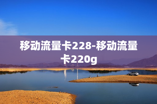 移动流量卡228-移动流量卡220g