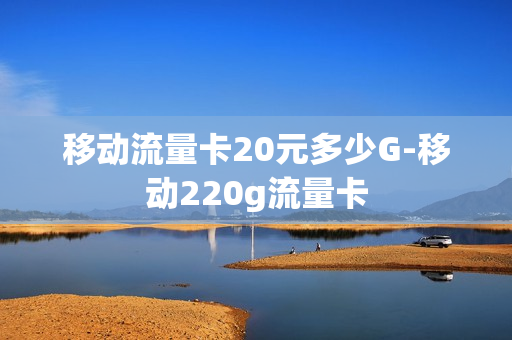移动流量卡20元多少G-移动220g流量卡