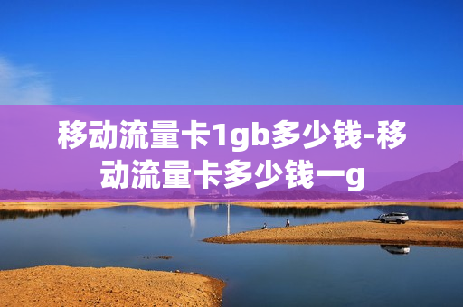移动流量卡1gb多少钱-移动流量卡多少钱一g