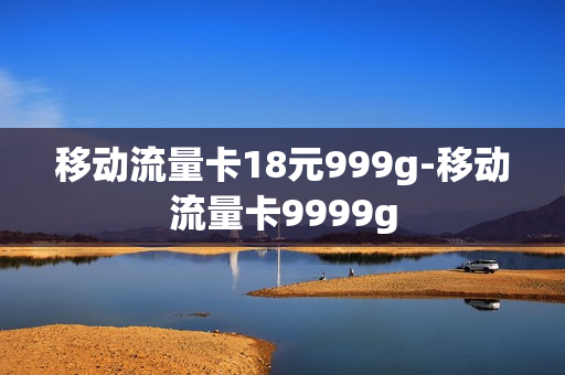 移动流量卡18元999g-移动流量卡9999g