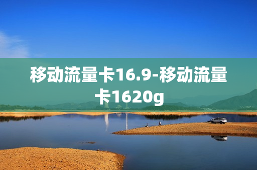 移动流量卡16.9-移动流量卡1620g