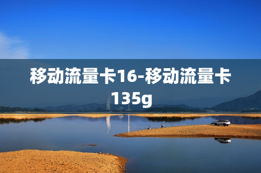 移动流量卡16-移动流量卡135g