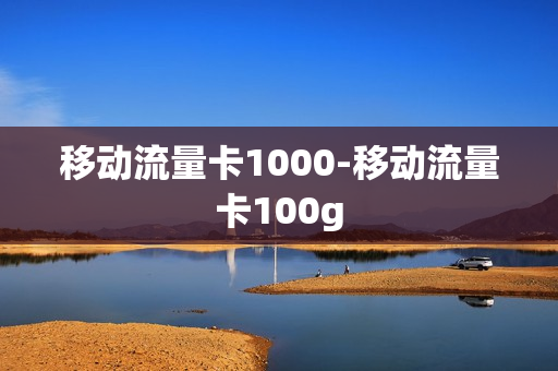 移动流量卡1000-移动流量卡100g