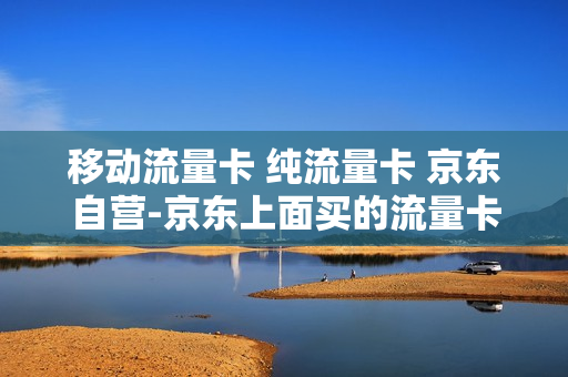 移动流量卡 纯流量卡 京东自营-京东上面买的流量卡是真的吗