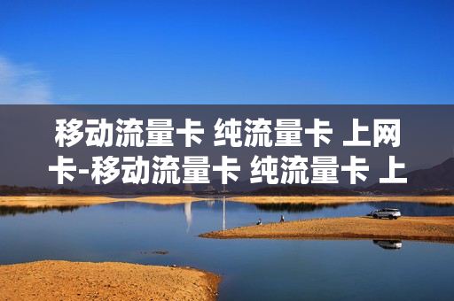 移动流量卡 纯流量卡 上网卡-移动流量卡 纯流量卡 上网卡可以用吗