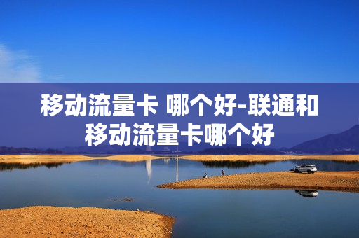 移动流量卡 哪个好-联通和移动流量卡哪个好