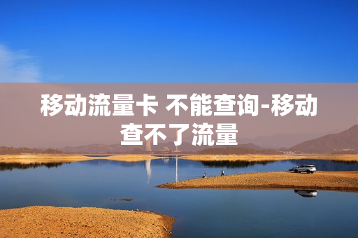 移动流量卡 不能查询-移动查不了流量