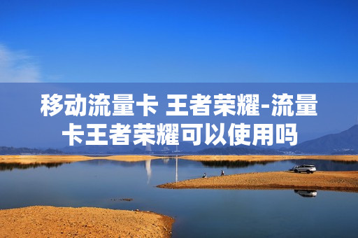 移动流量卡 王者荣耀-流量卡王者荣耀可以使用吗