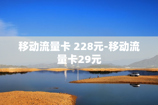 移动流量卡 228元-移动流量卡29元