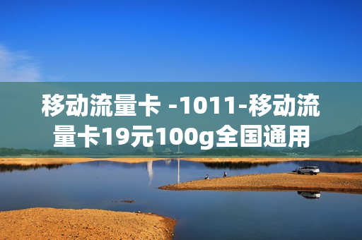 移动流量卡 -1011-移动流量卡19元100g全国通用