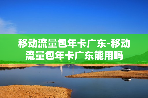 移动流量包年卡广东-移动流量包年卡广东能用吗