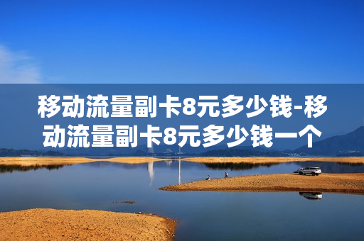 移动流量副卡8元多少钱-移动流量副卡8元多少钱一个