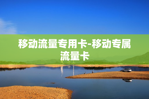 移动流量专用卡-移动专属流量卡