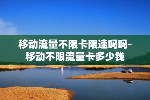移动流量不限卡限速吗吗-移动不限流量卡多少钱