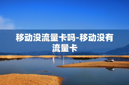 移动没流量卡吗-移动没有流量卡