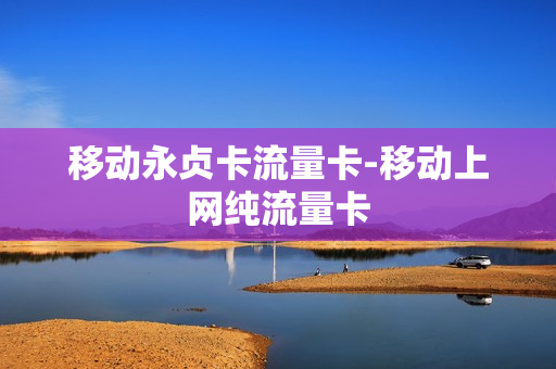 移动永贞卡流量卡-移动上网纯流量卡