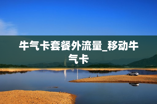牛气卡套餐外流量_移动牛气卡