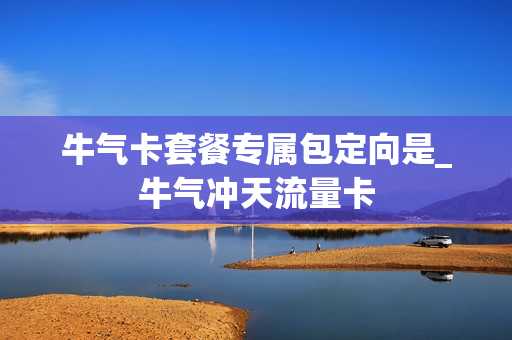牛气卡套餐专属包定向是_牛气冲天流量卡