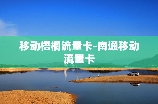 移动梧桐流量卡-南通移动流量卡